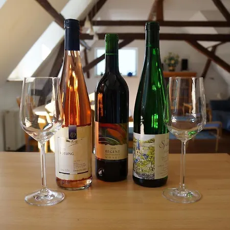 Gaestehaus Sehl Lägenhet Senheim