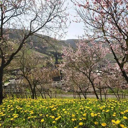 Lägenhet Gaestehaus Sehl Senheim