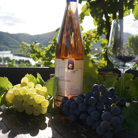 Gaestehaus Sehl Lägenhet *