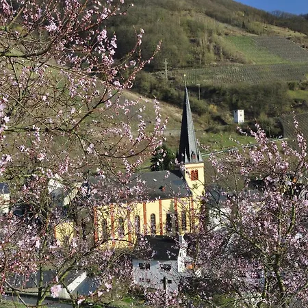 Gaestehaus Sehl Apartment Senheim