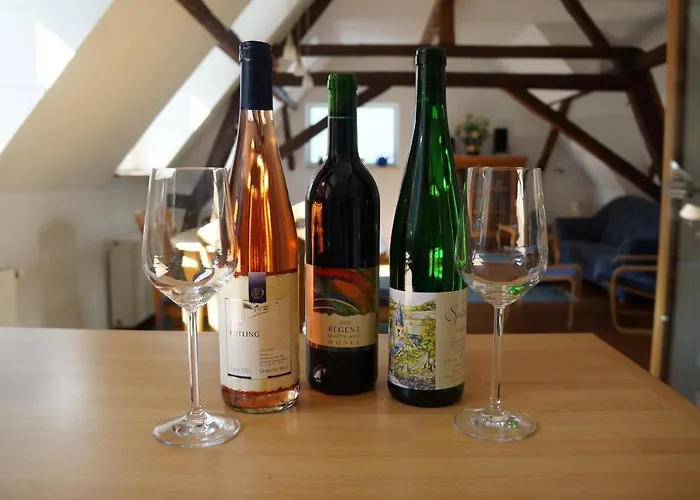 Gaestehaus Sehl Apartament Senheim