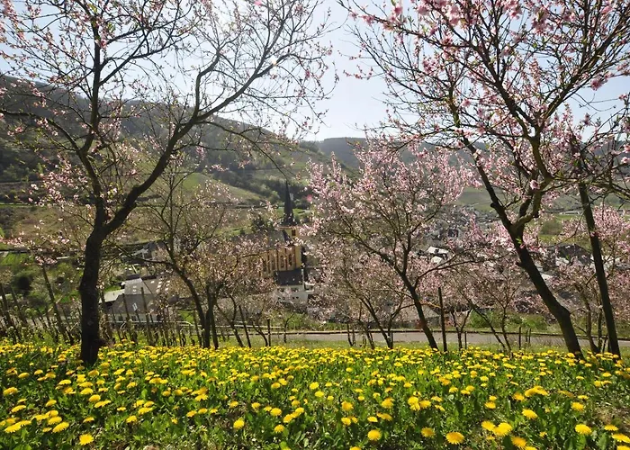 Apartamento Gaestehaus Sehl Senheim