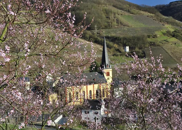 Gaestehaus Sehl Apartamento Senheim